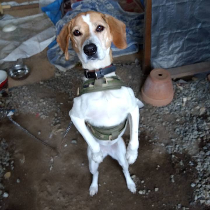 73652f45 2b37 4123 aad0 72698c8a37bc 1682672374846