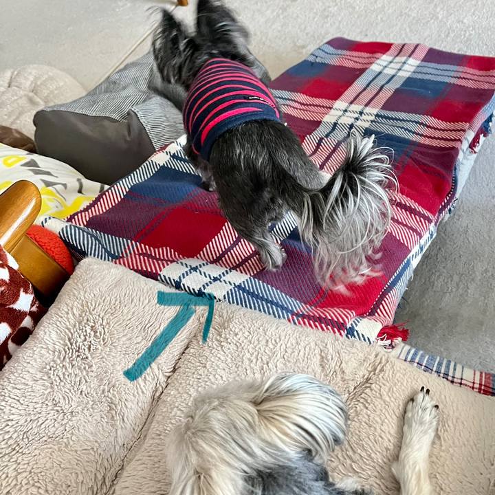 736556e5 3bdd 482d 8e85 77c310a77e86 1772346384045