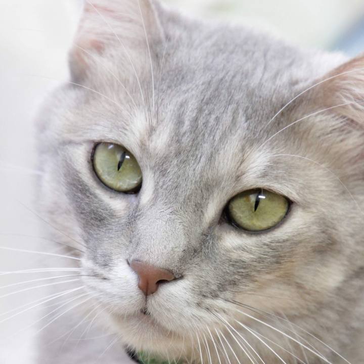 73655ebb 5d42 4742 9538 6ec16ceecd5c 1579270570508