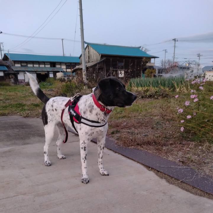 7365873e b0c4 4e81 85b4 ed1440b55c0b 1667379844206