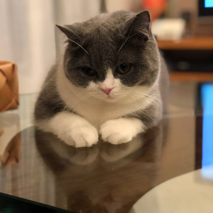 73658d5d f66d 4b31 9523 e24fc16b5b63 1517484778535