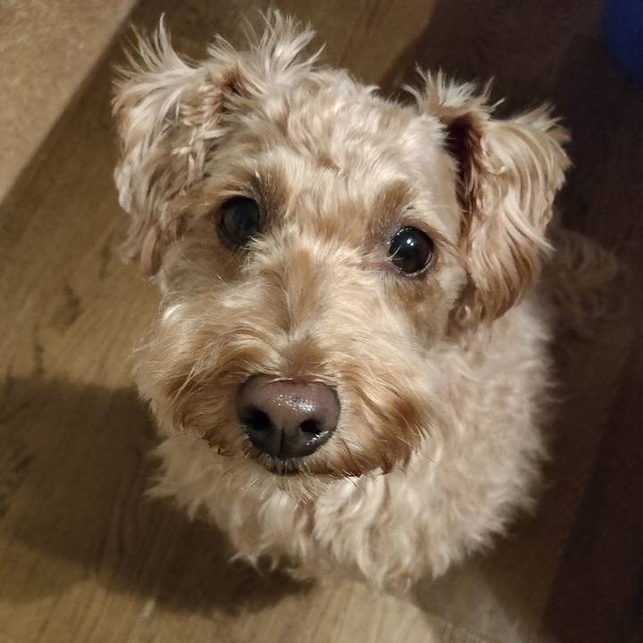 73658f15 02ee 4289 a1e2 d0acc33d5b8c 1594640034047