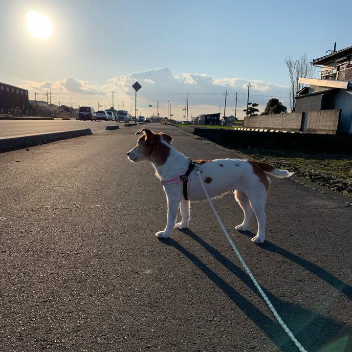 7365c76e ef05 43fe 9bfb ec6d6501bce2 1584275596988