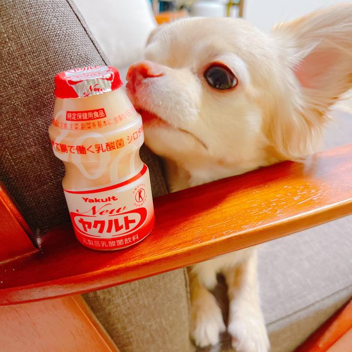 7365dc20 404e 4bd3 8051 9e592ccf996a 1648717317990