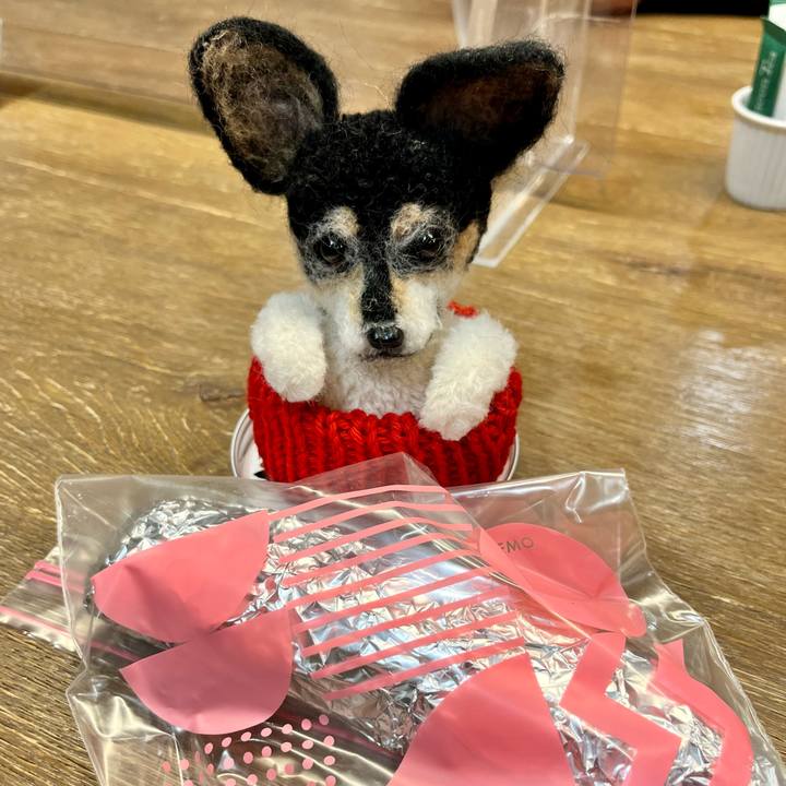 73661980 23f2 4ca7 b969 dcf6fc465c1e 1669202192342