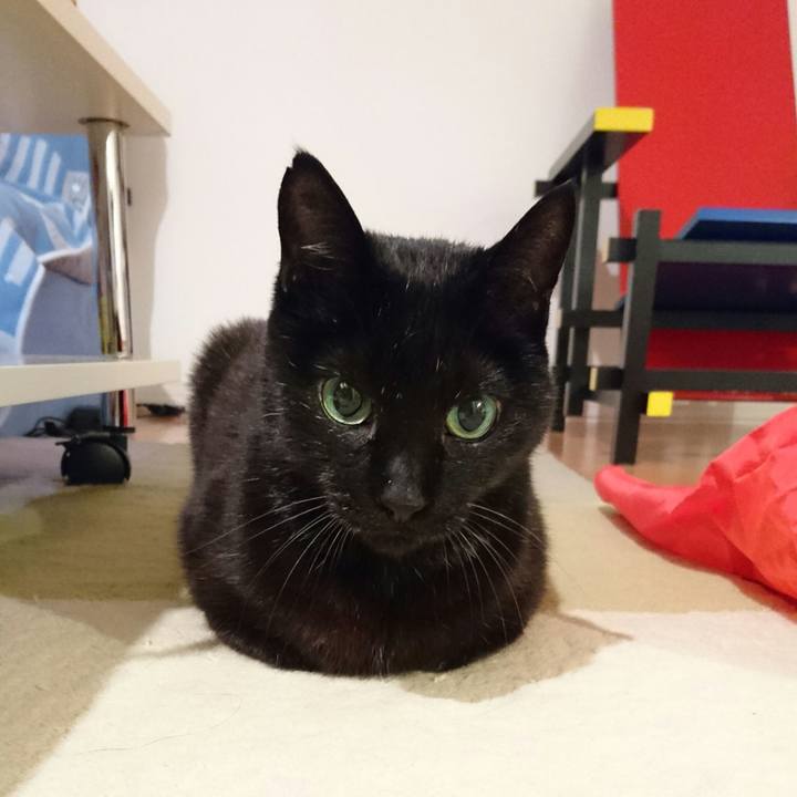 73662760 31eb 44fe 9d03 6f4de1b0ccd6 1514242621453