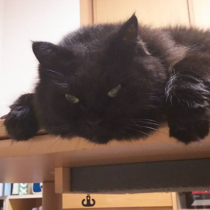 73665083 45a3 4d58 98d1 c09ce1472a04 1566132512258