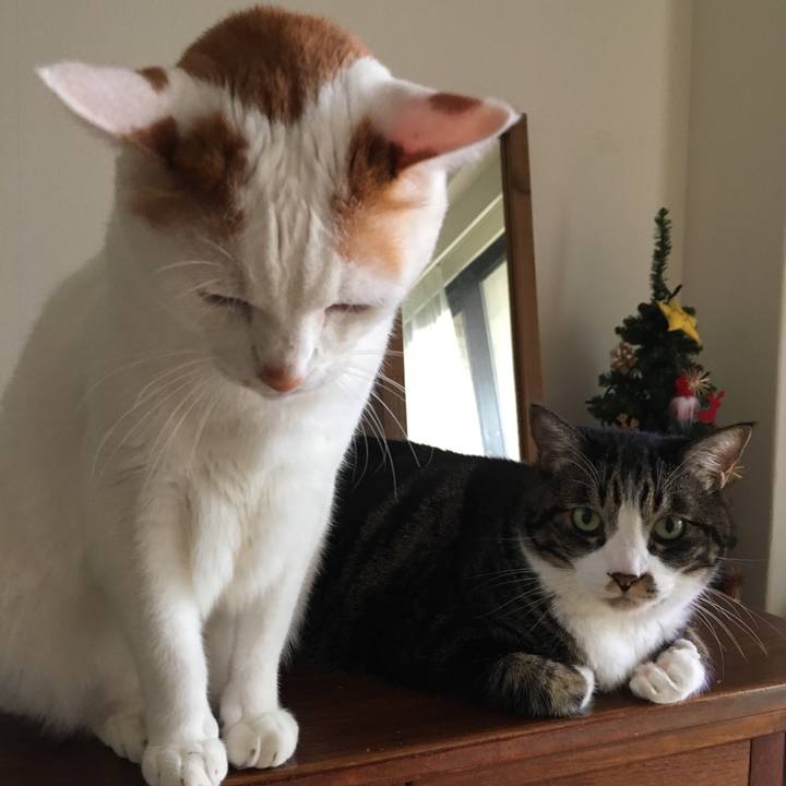 73666023 91b7 4e2c 851e c8eb272846de 1512777180322