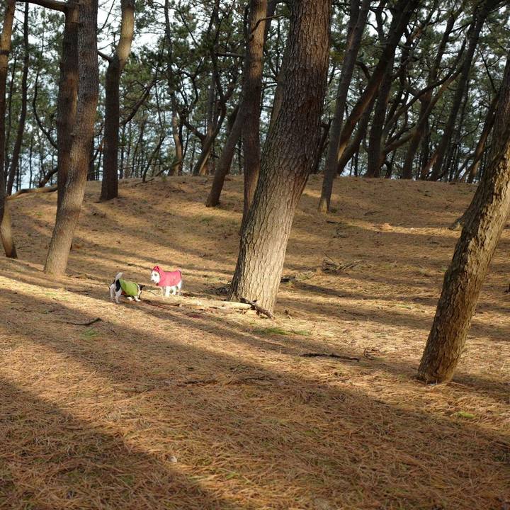 7366ad77 9bcd 443b 8cd7 6c54eb247b20 1514954289375