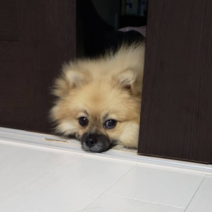 7366b245 198f 4703 b004 c41ab16c7986 1627617175284