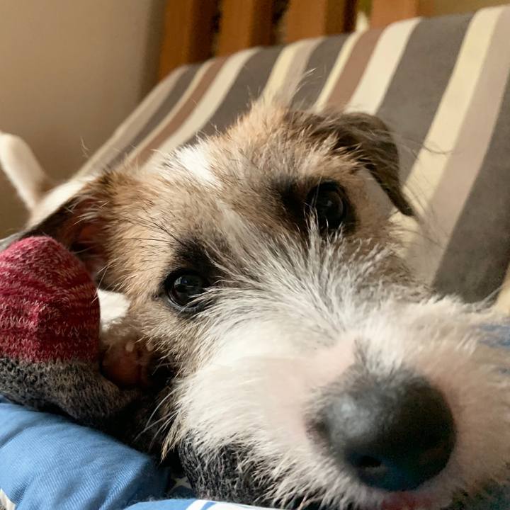 7366d088 3125 4c71 bece aeae78b78116 1567345701328