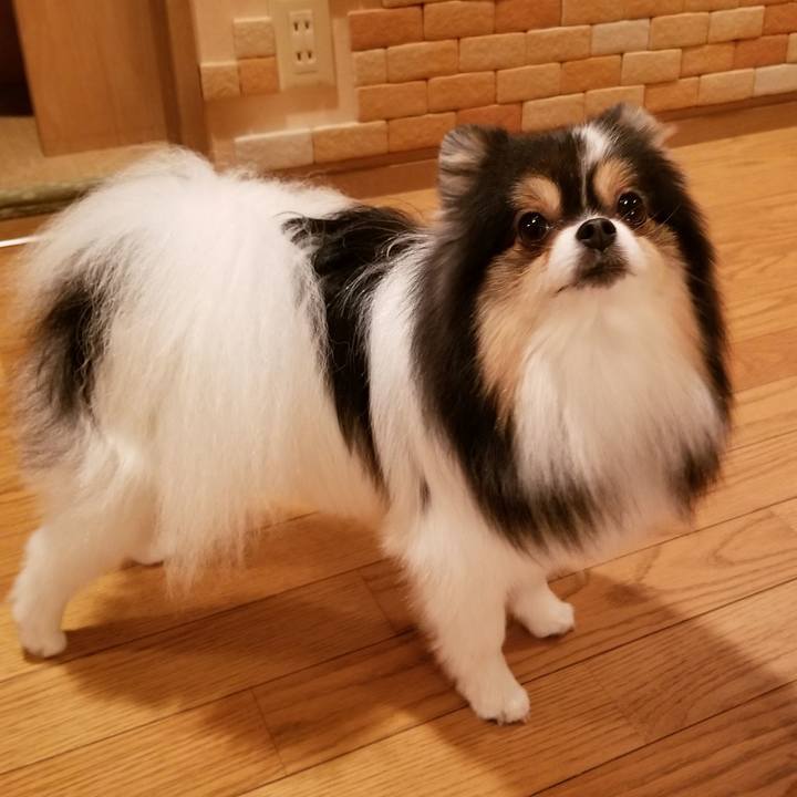 7366d488 6e9a 4a48 aef1 b5e2b8cbafce 1528197489867