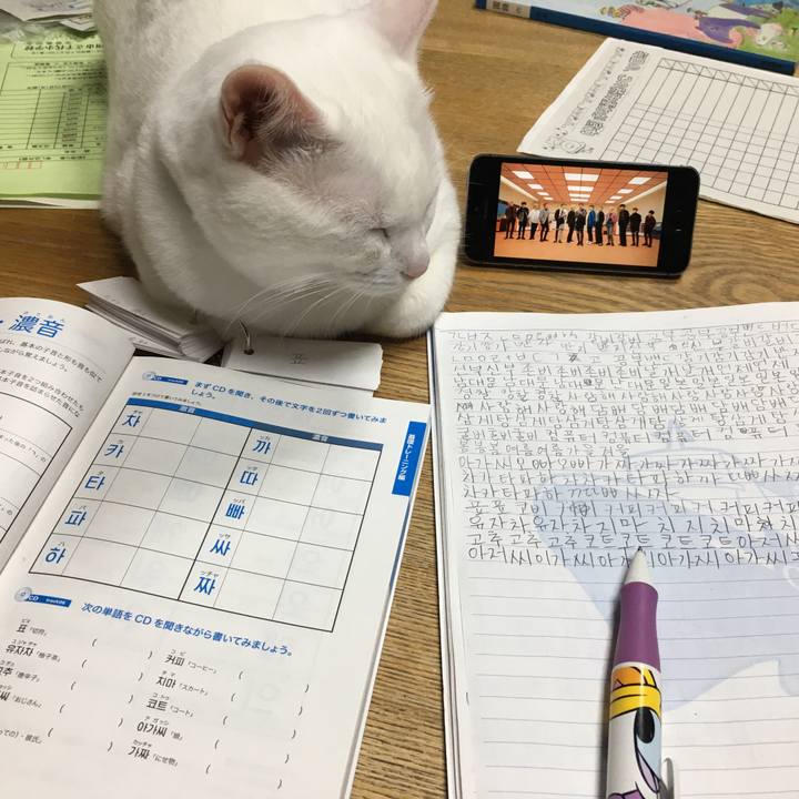 7366dd2f 6647 45e8 8c67 63b1b434b4a4 1539089907478