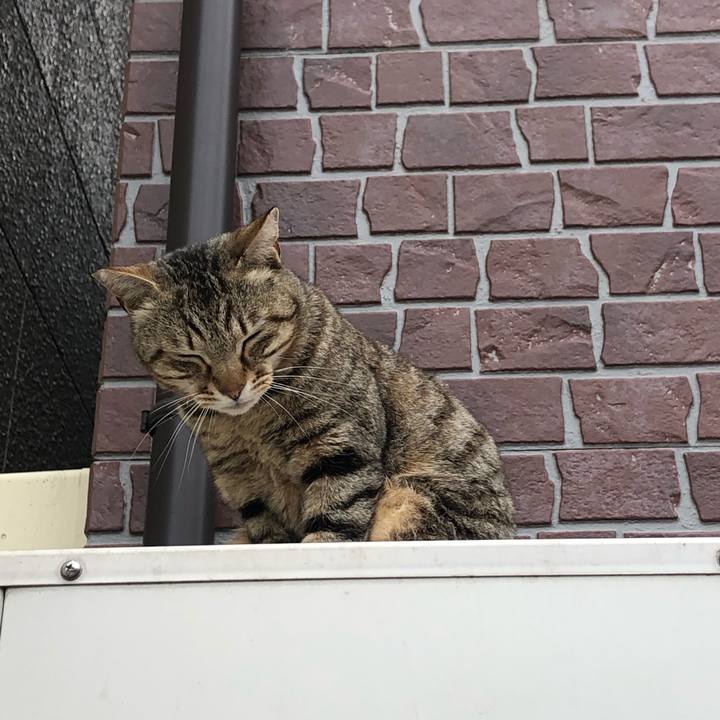 7366fbd8 734a 4cbe 9a73 c6672d85b396 1583131589012