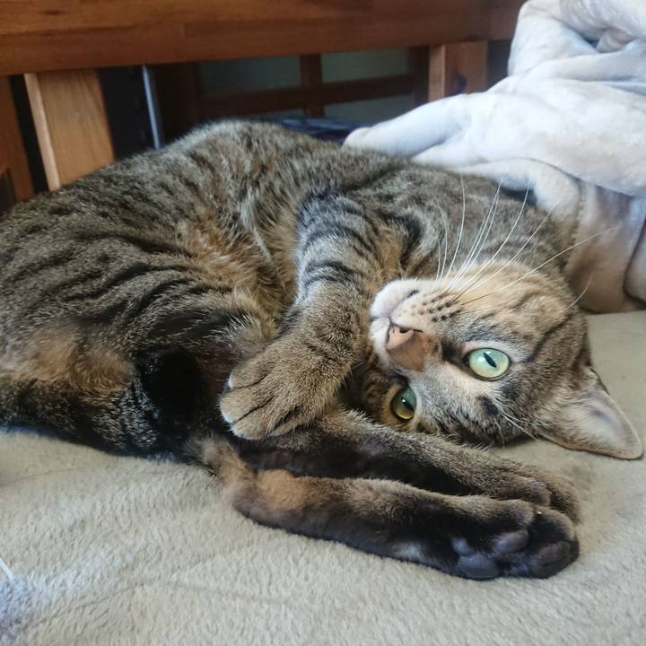 73671fcd 1787 428f 90e4 9e10bf1916b1 1547869437075