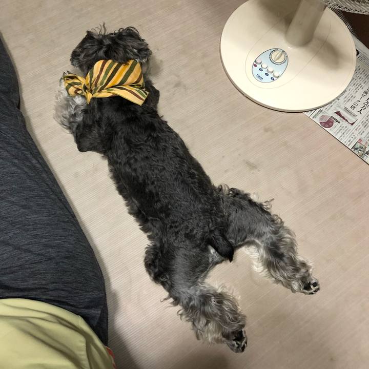 7367305c d5be 48f7 ac7c dc15348c4904 1658744052153