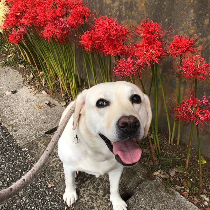 73673bb6 7d74 41b9 90c9 85643c5a93b7 1601953607461