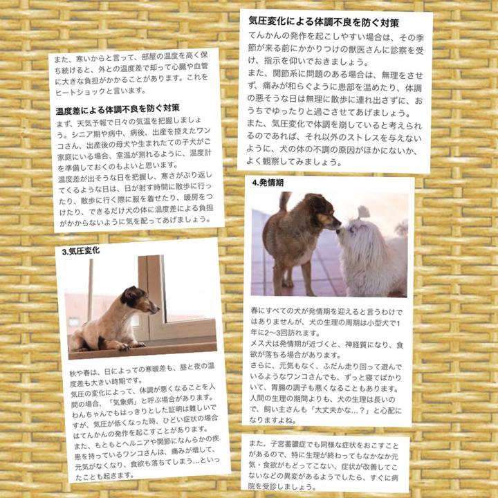 736782a5 ff6e 452d af3d 2aa634c21923 1521386842361