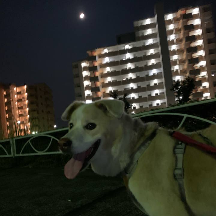 7367915b d425 47c7 9bac 92b1b1b3a84d 1596551147144