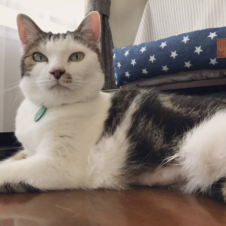 73679c6e 4aed 443f af9d 585d08b0ed74 1558673357961