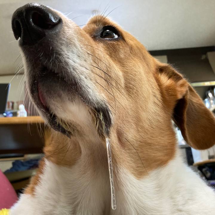 7367ab09 75b9 4738 8934 91fe04e97904 1757122356054