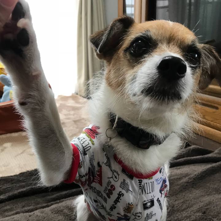 7367df8f 364e 457e 841b d124db8db2bb 1527468695129