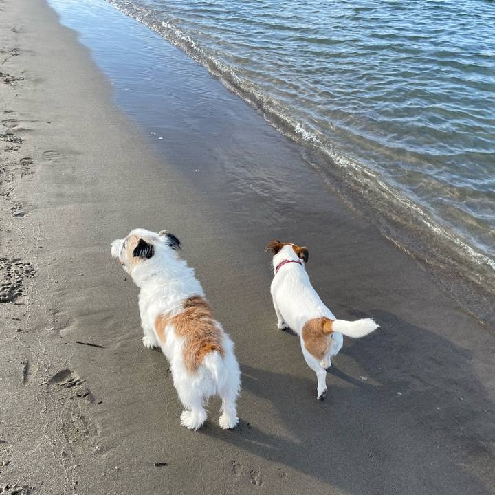 7367e10d d332 42f4 864c dbfe4d541be8 1663373157146