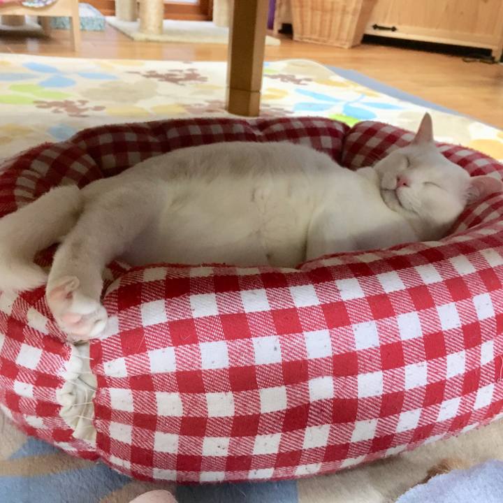 7367f996 1925 45e8 9e93 660b91431a30 1522833792797