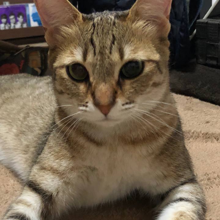 736811b0 3edd 48aa b12f 035dff312841 1623323290703