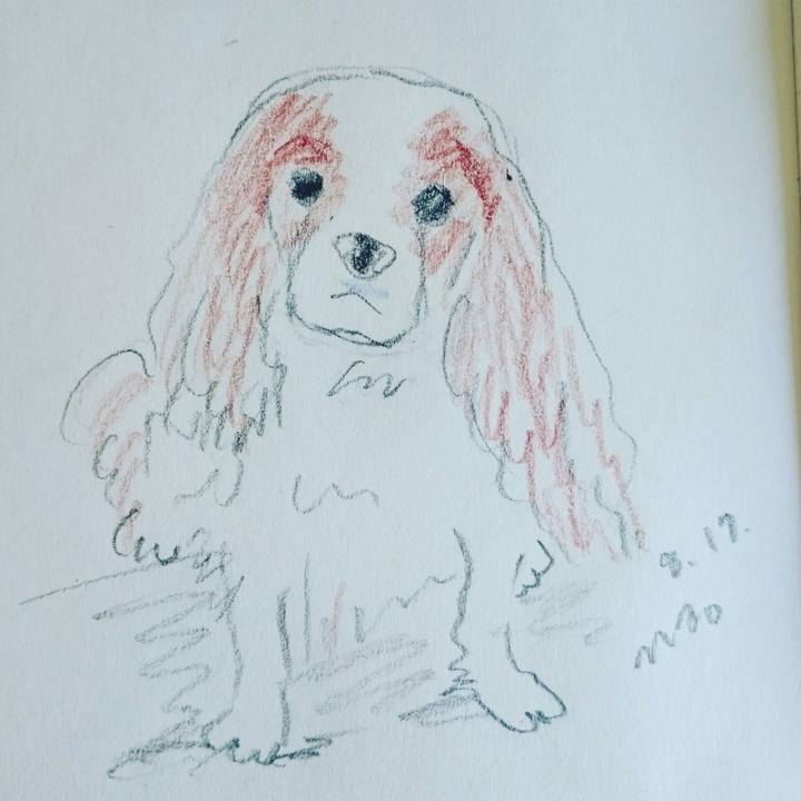 7368163c 4691 4491 a6fd b4d51b5e9cc7 1566020307785