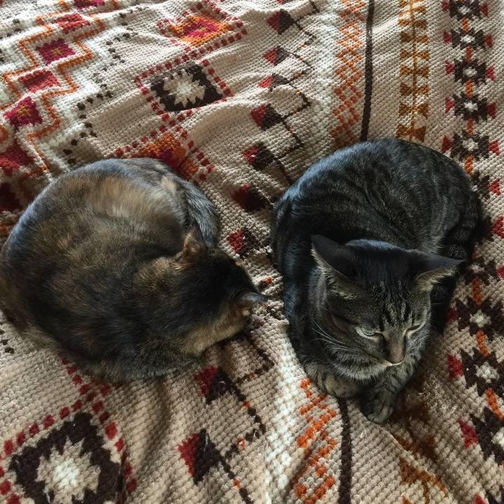 736864a7 01dc 4bb4 94f9 d906b4b9da05 1555190548486