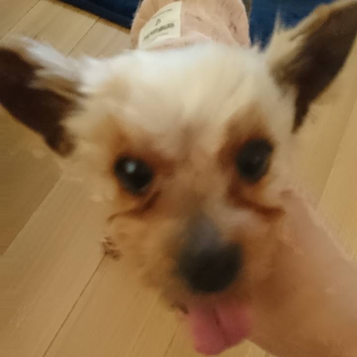 7368dd8d 41a0 46b6 9109 99df73a5af45 1526279178112