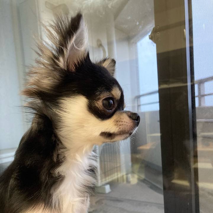 736909c9 9ee4 4d11 8641 c0ff6dd03dfd 1601073794071