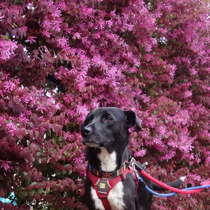 736974a8 9ad4 4cf8 99aa 7f69e60e493f 1586598846162