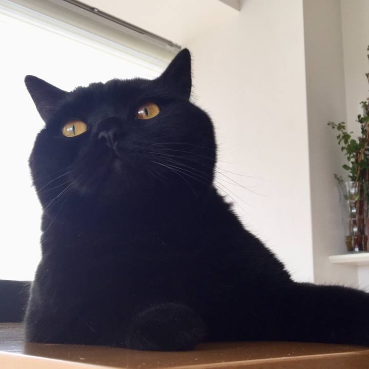 73698c63 d986 4893 b0dc 9ac536e075fa 1557620008738