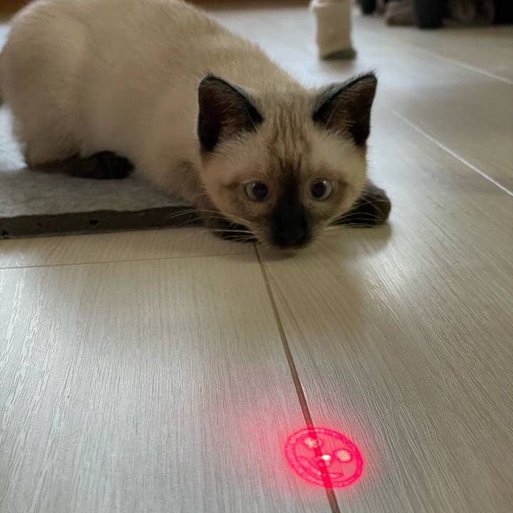 7369bcad 6c6c 43e5 9459 5de9b36ca2d9 1689544796753