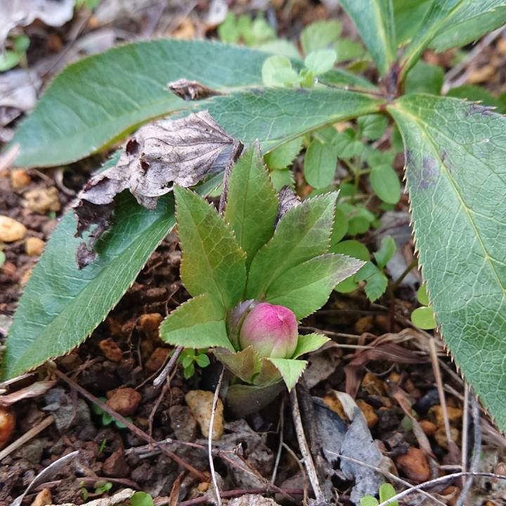 7369c602 3b97 4440 a959 f265f0959378 1579878019362