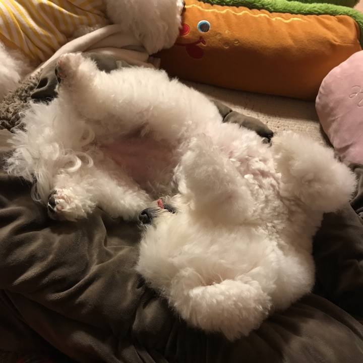 736a0d63 d104 45c0 b25d 1bed4c1258c6 1580736742270