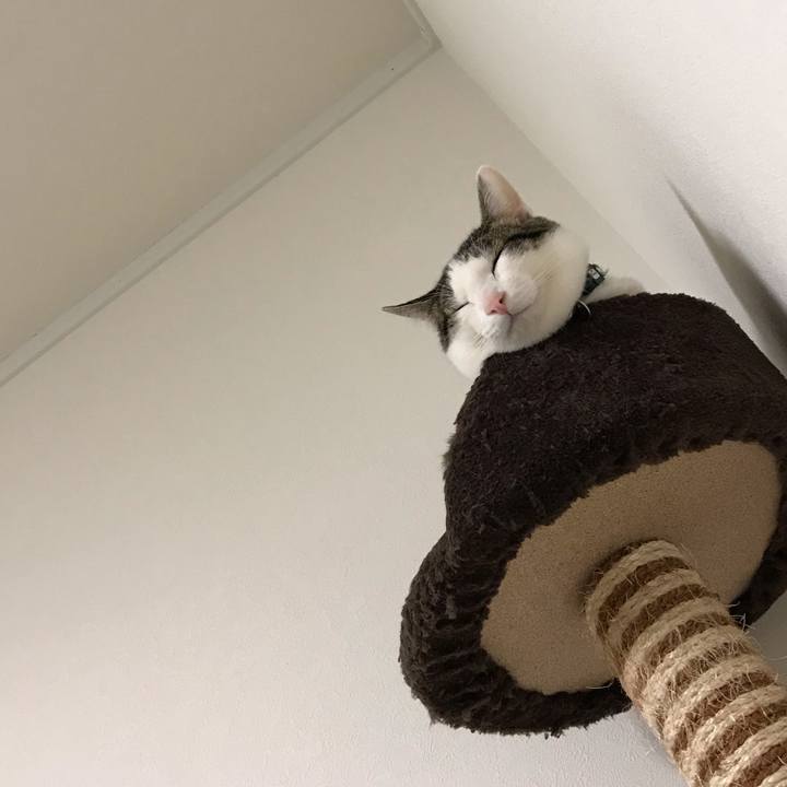 736a3ce1 8189 4904 be67 645d16508180 1552015010678