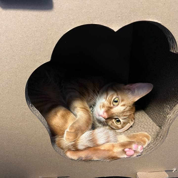 736a6e23 4c5b 4961 b639 5ee6492d272d 1654035948888