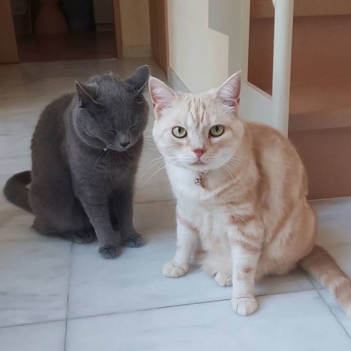 736a8bf7 125c 4c60 a14c 805ae6da3fe9 1563522853243