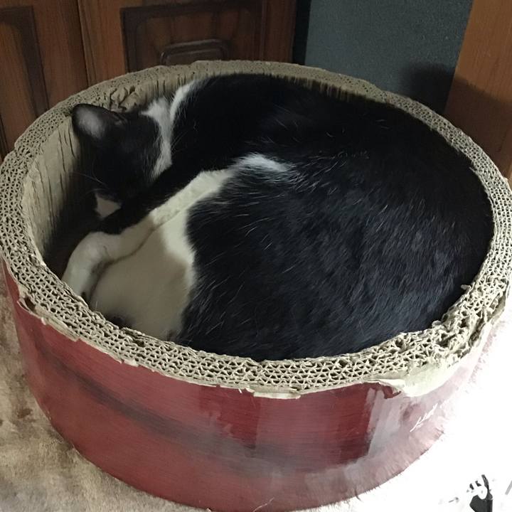 736a9ea7 26be 40f3 8749 2bc9e1873214 1748084184976