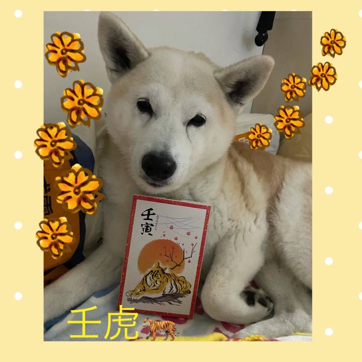 736ab6ea 172f 48e2 bfda 5f14f0c0d9c0 1638186765689