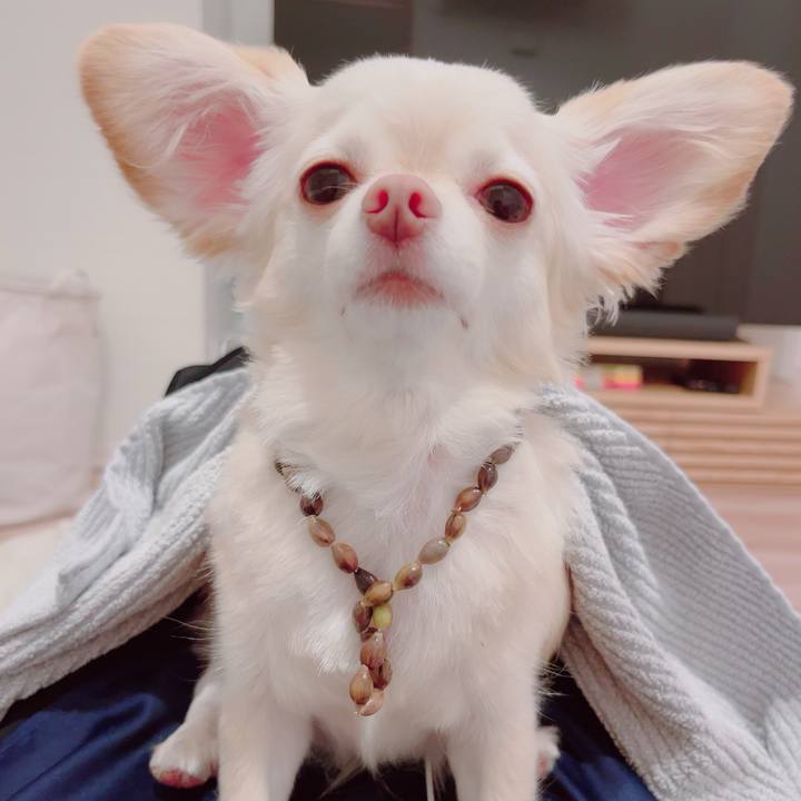 736ae254 3f3d 446a 99c4 47cfb38f8862 1694687783520