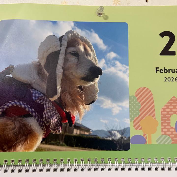 736ae315 16a8 4c45 9bab 96d29c190f39 1769928049286