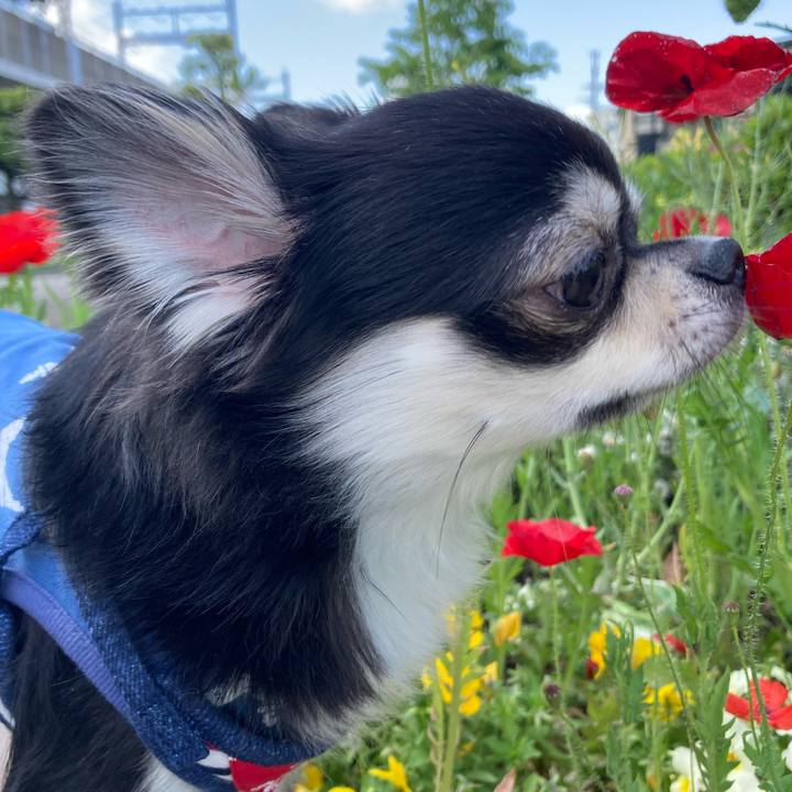 736aed80 d91a 42e8 a2fe 366e0e946d23 1619938985795