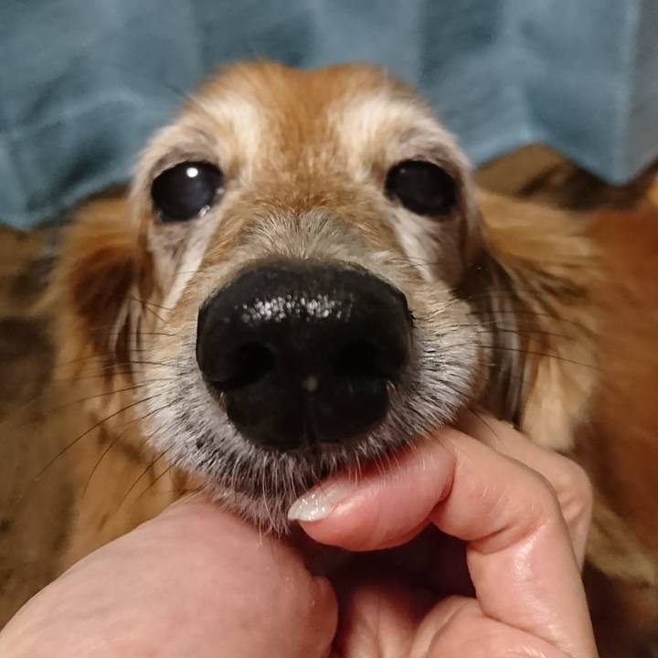 736afb32 9601 4634 afa7 60aa2ff09035 1509979044294