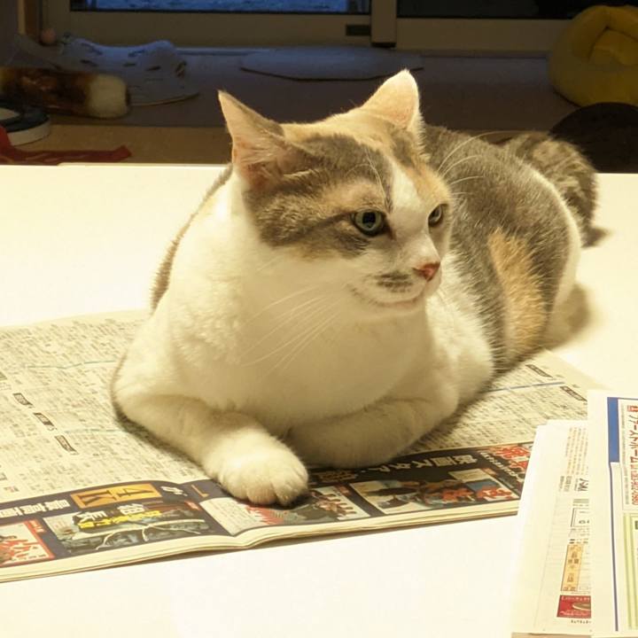 736b1379 db78 48be b6e3 0d94d81e7260 1693714680491