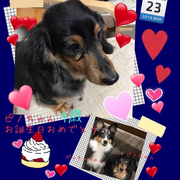 736b5051 4c1e 4950 b67b 1fcaf65afdf6 1521756588528