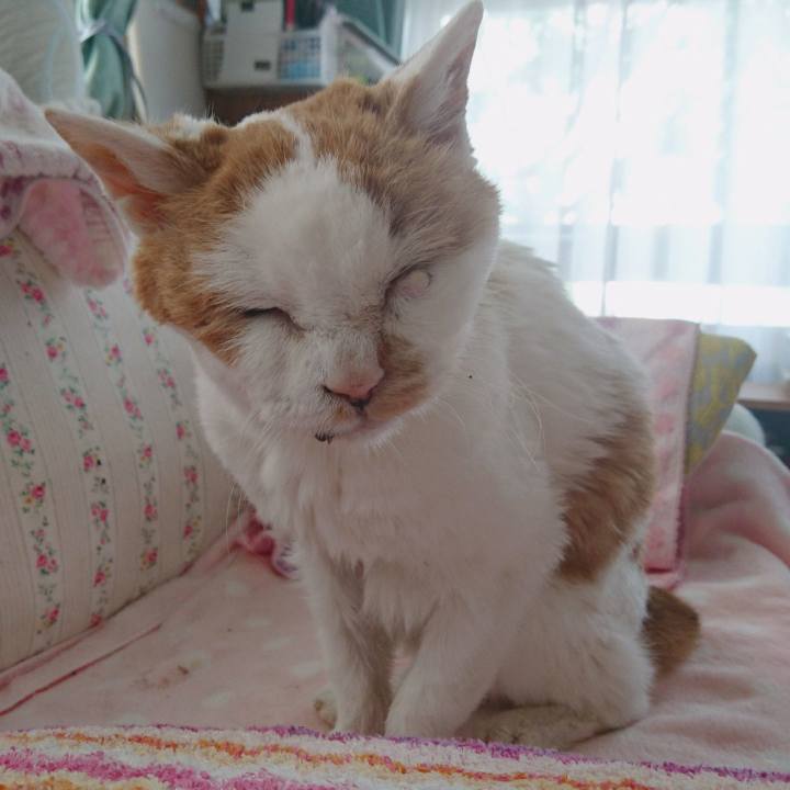 736b8945 833a 45b6 ba99 1ac1a3118113 1649406742767